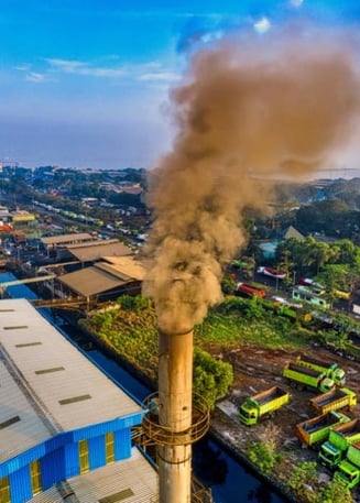 Pulp and Paper Manufacturing Plant